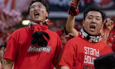 开云官网-现场球迷全情投入，为球队加油助威的简单介绍