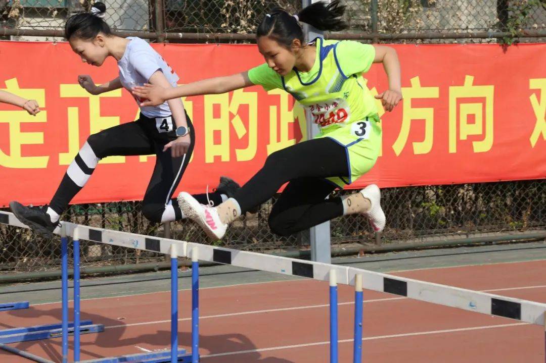 包含拼搏谱写：运动员们为荣誉而战的词条